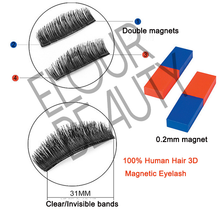 3D magnetic lashes 100% remy human hair China wholesale EA14